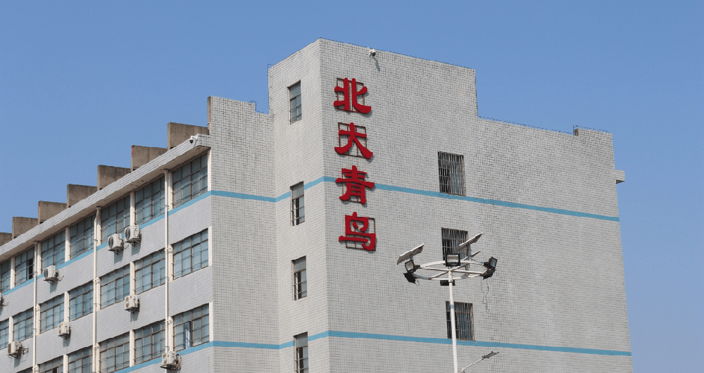 少年 | 我想对你说......