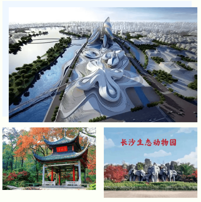 托雅春季游学,点亮不一样的春天
